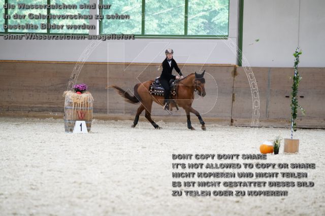 s_K3F02951.JPG